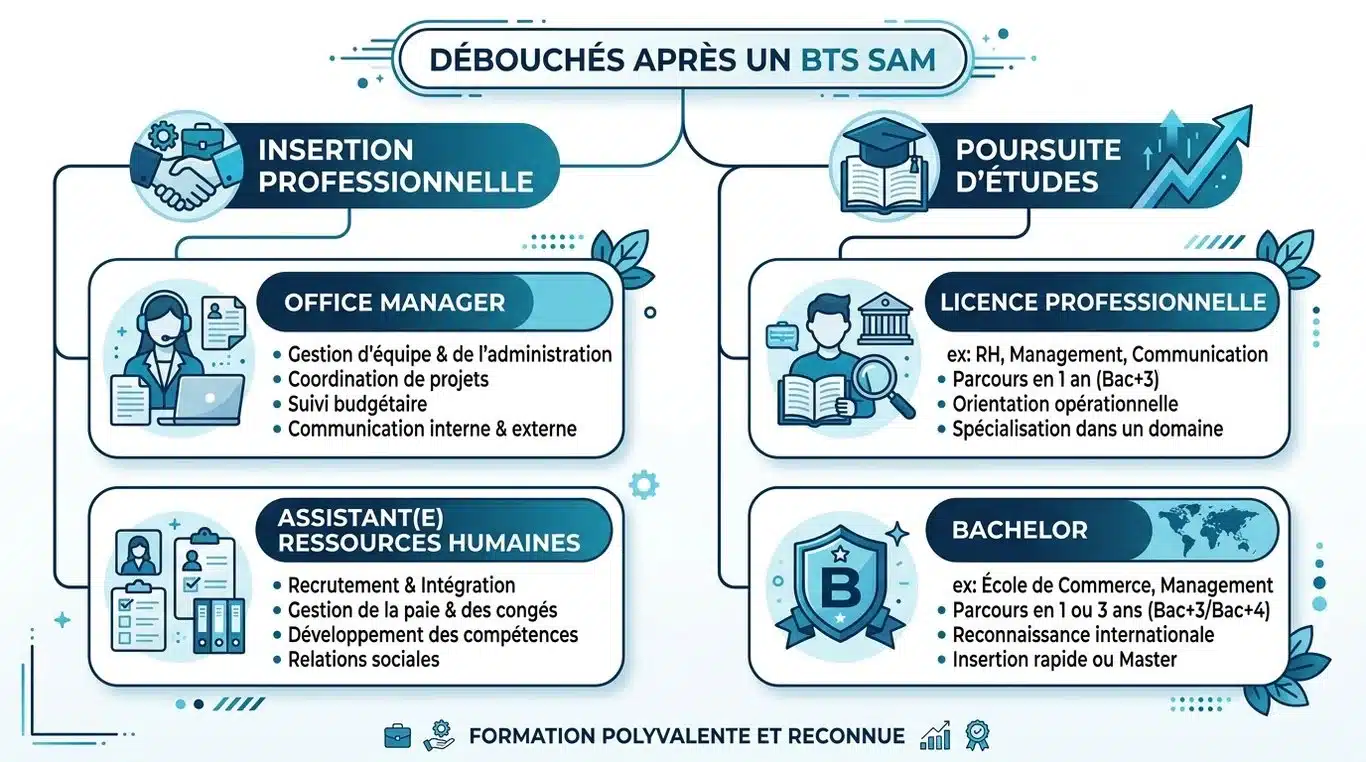 Infographie des options de carrière et de poursuite d'études après un BTS SAM