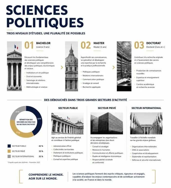 Infographie des débouchés après des études en sciences politiques par niveau d'études